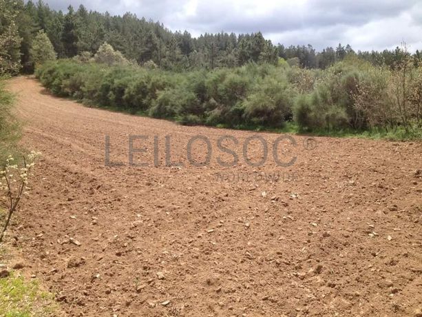 Quinhão Hereditário · Vila Pouca de Aguiar