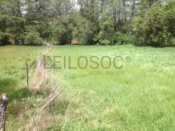 Quinhão Hereditário · Vila Pouca de Aguiar