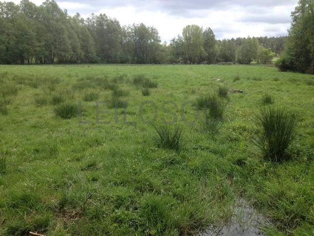 Quinhão Hereditário · Vila Pouca de Aguiar