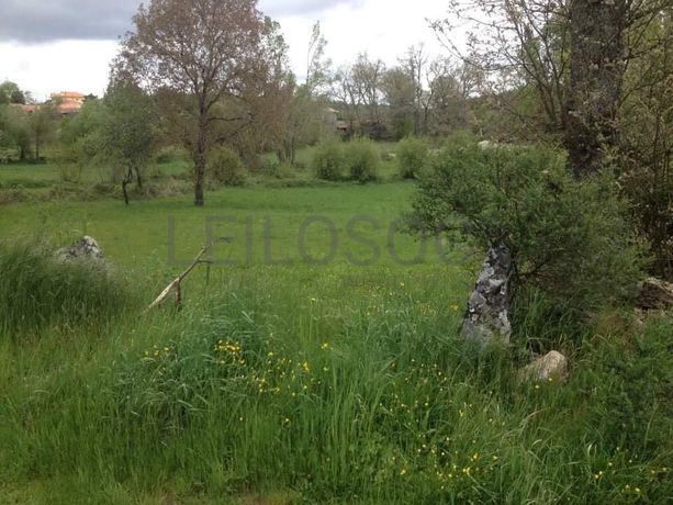 Quinhão Hereditário · Vila Pouca de Aguiar