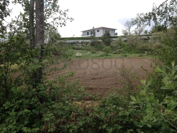 Quinhão Hereditário · Vila Pouca de Aguiar