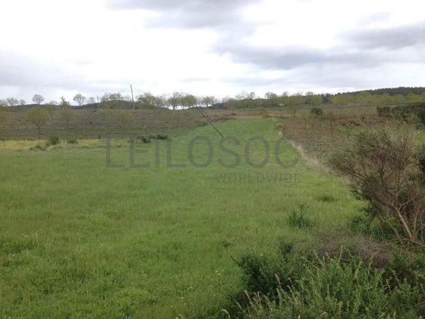 Quinhão Hereditário · Vila Pouca de Aguiar