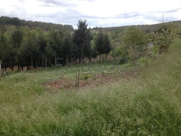 Quinhão Hereditário · Vila Pouca de Aguiar