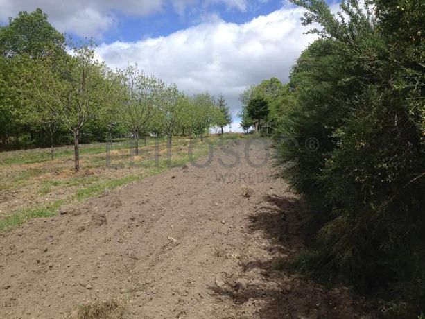 Quinhão Hereditário · Vila Pouca de Aguiar