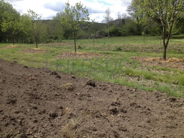 Quinhão Hereditário · Vila Pouca de Aguiar