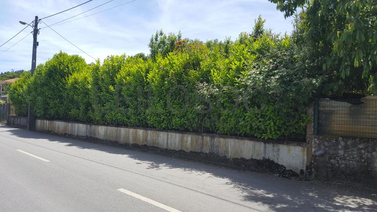 Quinhão Hereditário de Moradia