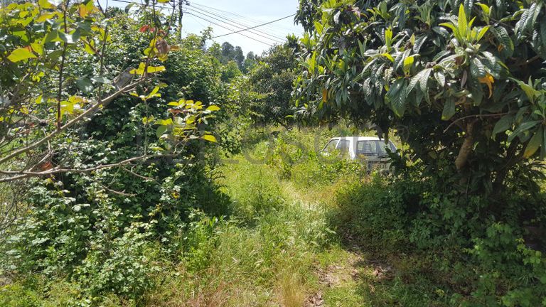 Quinhão Hereditário de Moradia