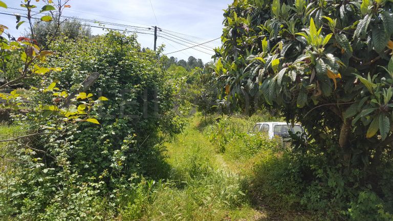 Quinhão Hereditário de Moradia