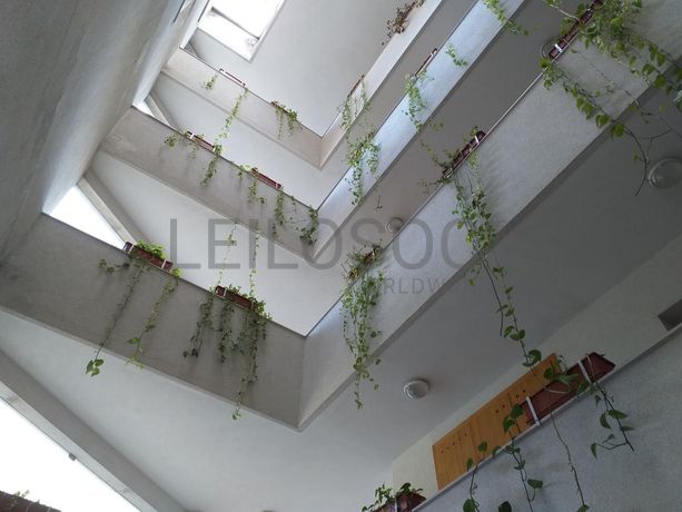 Apartamento T2 · Valongo