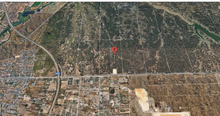 Herdade c/ 75 Hectares · Palmela