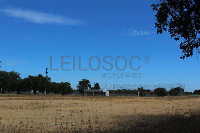 Herdade c/ 75 Hectares · Palmela