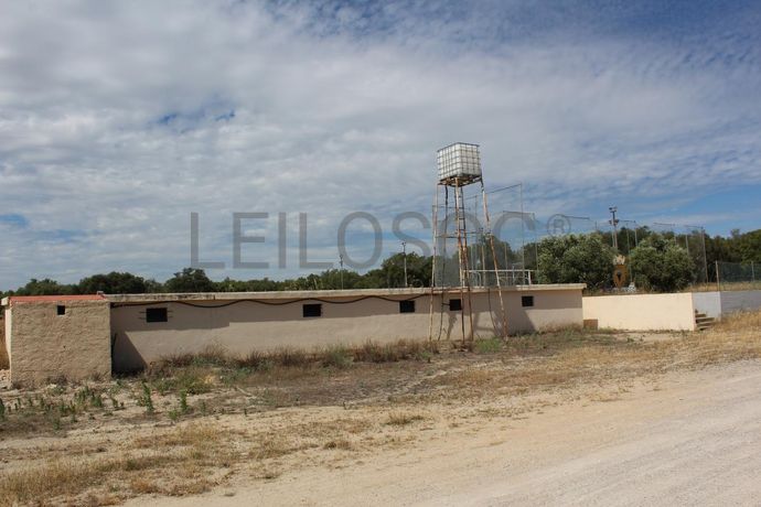 Herdade c/ 75 Hectares · Palmela