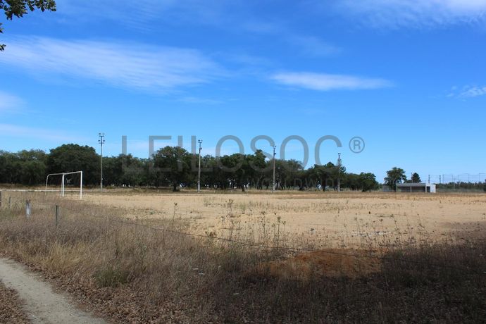 Herdade c/ 75 Hectares · Palmela