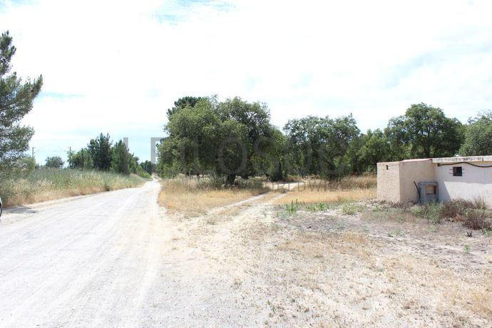 Herdade c/ 75 Hectares · Palmela