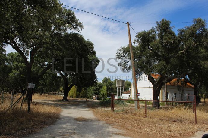 Herdade c/ 75 Hectares · Palmela