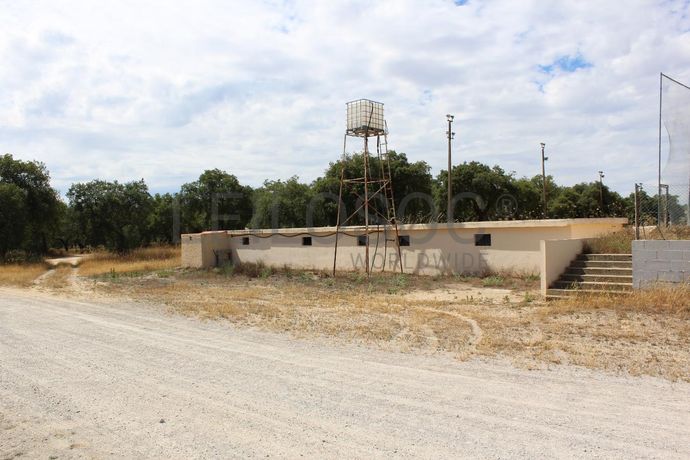 Herdade c/ 75 Hectares · Palmela