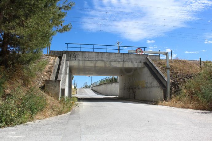 Herdade c/ 75 Hectares · Palmela