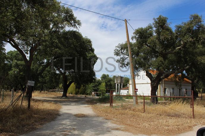 Herdade c/ 75 Hectares · Palmela