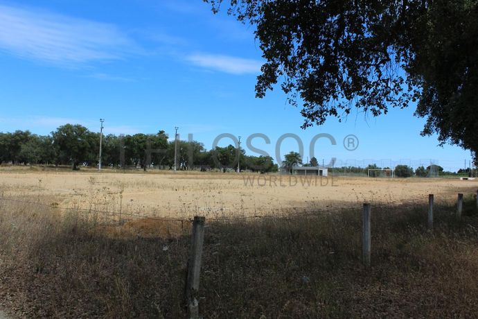 Herdade c/ 75 Hectares · Palmela