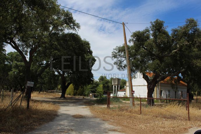 Herdade c/ 75 Hectares · Palmela