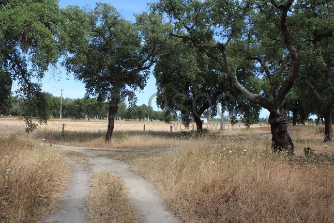 Herdade c/ 75 Hectares · Palmela