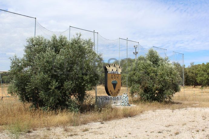 Herdade c/ 75 Hectares · Palmela