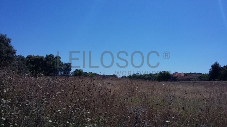 Terreno · Oliveira do Bairro