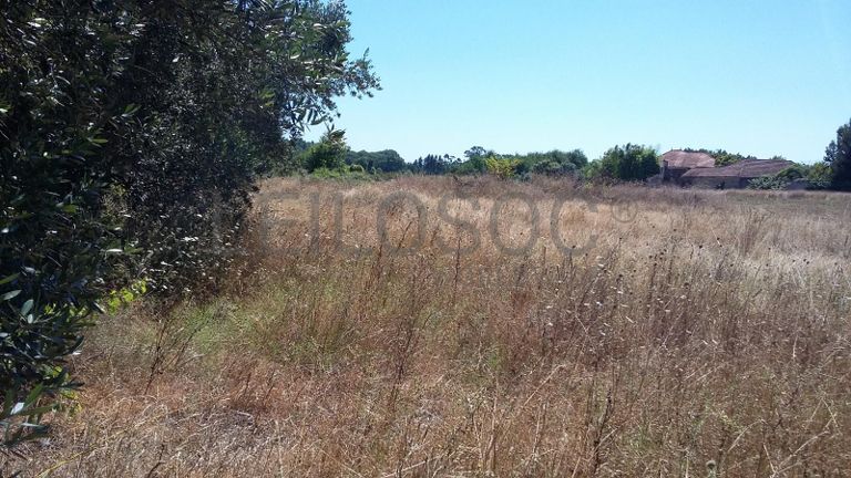 Terreno · Oliveira do Bairro