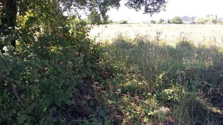 Terreno · Oliveira do Bairro