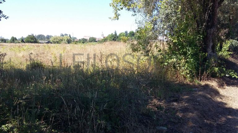 Terreno · Oliveira do Bairro
