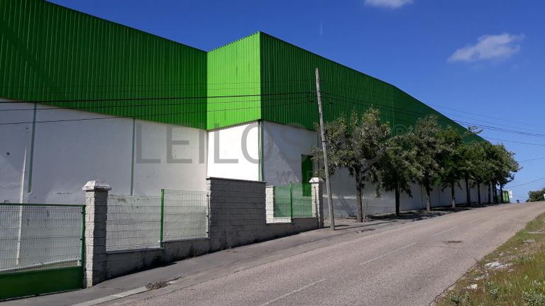 Pavilhão + Lotes para Construção + Terrenos · 1/24 de Terreno · Ourém