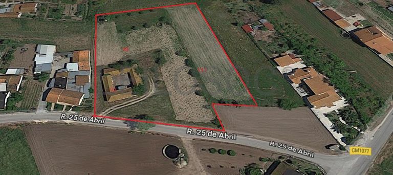 Quinhão Hereditário · Montemor-o-Velho