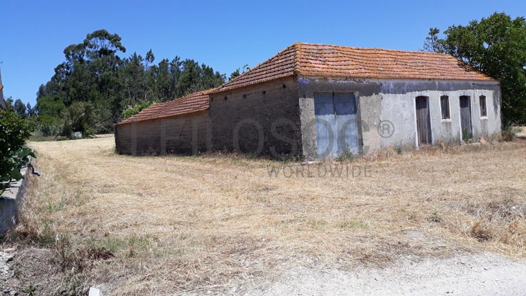 Quinhão Hereditário · Montemor-o-Velho