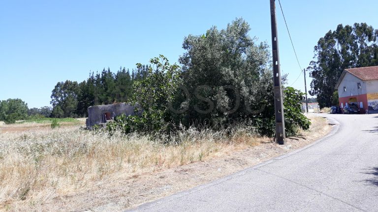 Quinhão Hereditário · Montemor-o-Velho