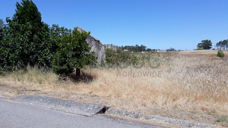 Quinhão Hereditário · Montemor-o-Velho