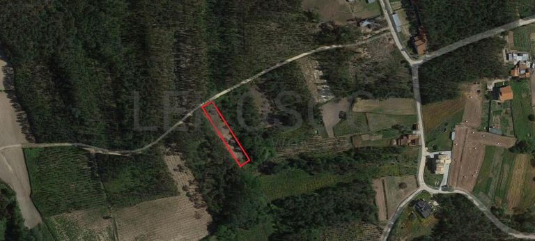 Quinhão Hereditário · Montemor-o-Velho