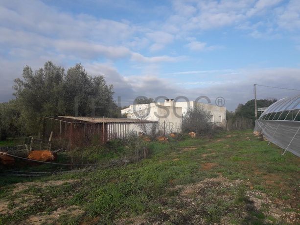 Terrenos · Campina de Baixo - S. Sebastião (Loulé)