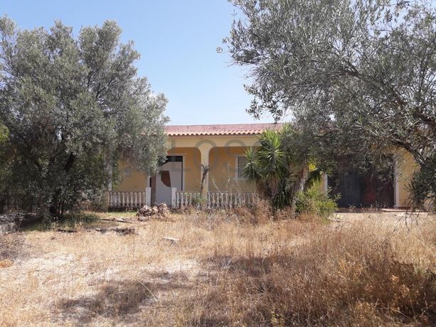 Terrenos · Campina de Baixo - S. Sebastião (Loulé)