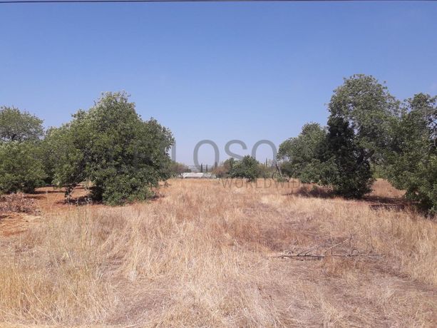 Terrenos · Campina de Baixo - S. Sebastião (Loulé)