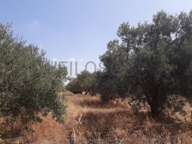 Terrenos · Campina de Baixo - S. Sebastião (Loulé)