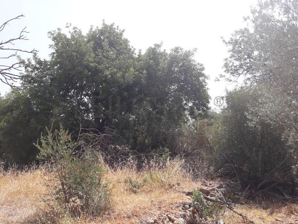 Terrenos · Olho das Eiras - S. Sebastião (Loulé)