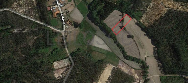 Quinhão Hereditário · Montemor-o-Velho