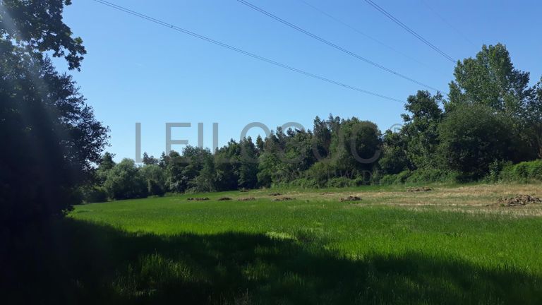 Quinhão Hereditário · Montemor-o-Velho