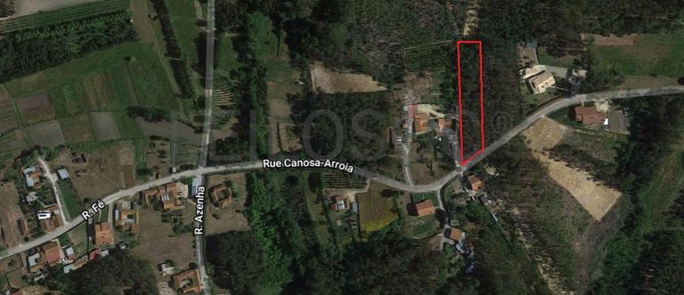 Quinhão Hereditário · Montemor-o-Velho