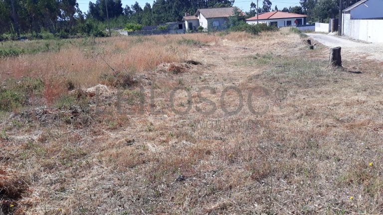 Quinhão Hereditário · Montemor-o-Velho