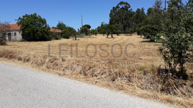 Quinhão Hereditário · Montemor-o-Velho