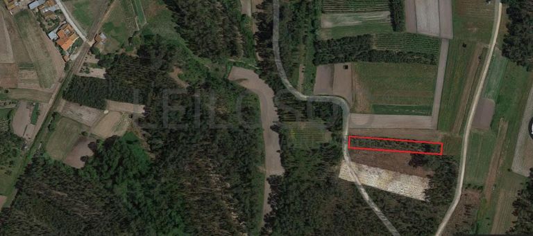 Quinhão Hereditário · Montemor-o-Velho