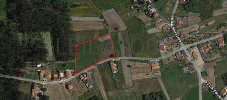 Quinhão Hereditário · Montemor-o-Velho