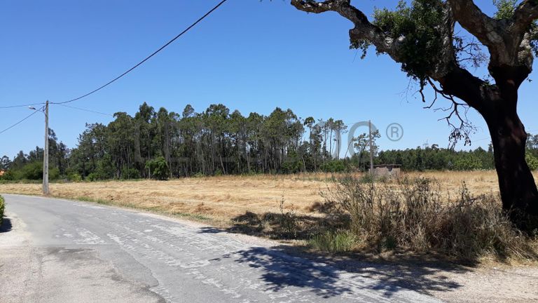 Quinhão Hereditário · Montemor-o-Velho