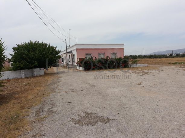 Herdade com 12,4ha · Conceição - Faro